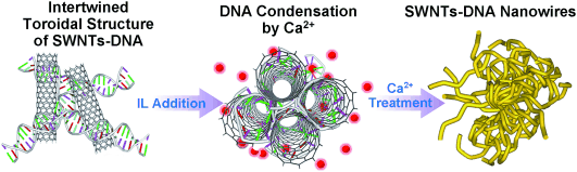 DNA-Wrapped Carbon Nanotubes - Progress Toward Artificial Tissue?